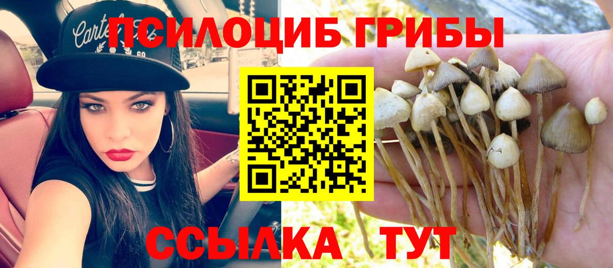 Псилоцибиновые грибы GOLDEN TEACHER Ростов Великий