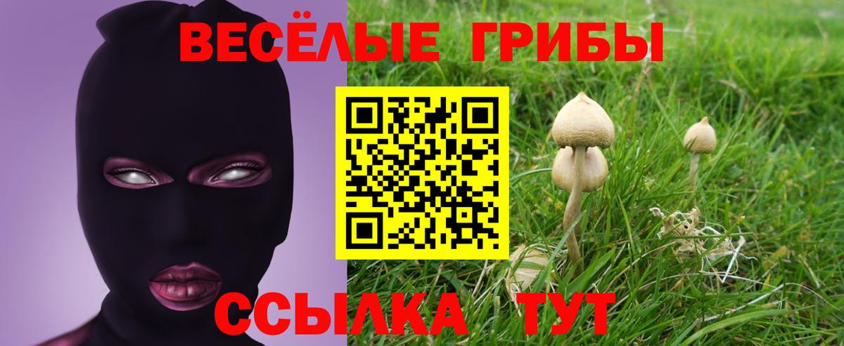 Ростов Великий  Галлюциногенные грибы Cubensis  Вход с VPN  Псилоцибиновые грибы прущие грибы 